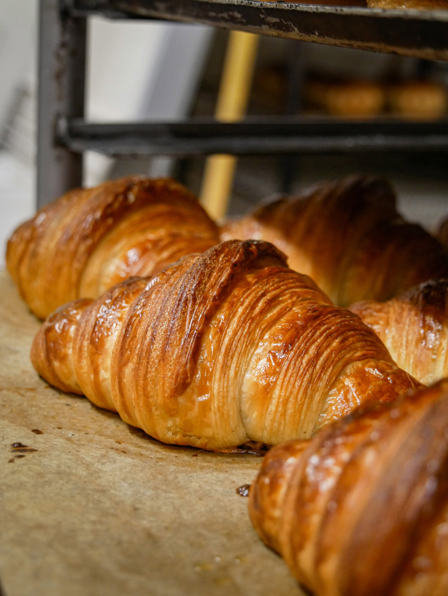 Nygräddade gyllene croissanter på plåt i bageriet